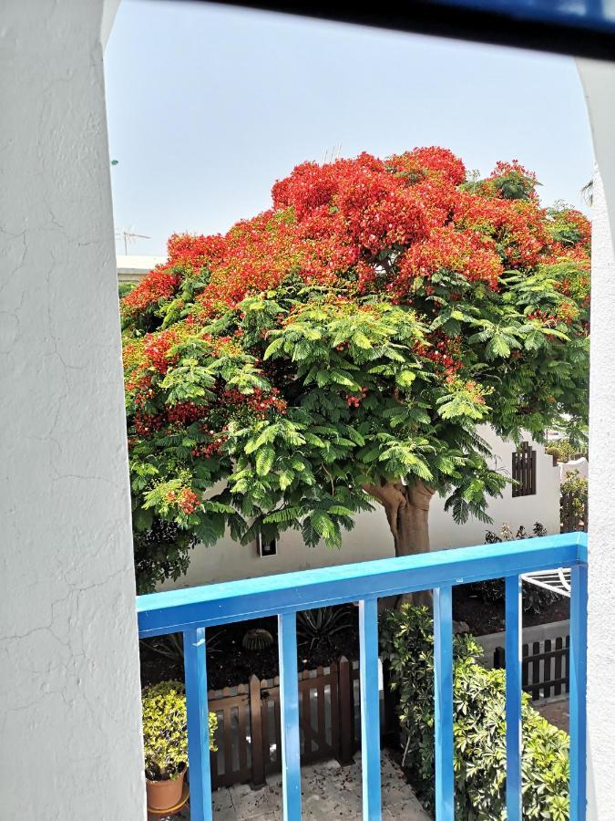 Maspalomas Casa La Loba Экстерьер фото