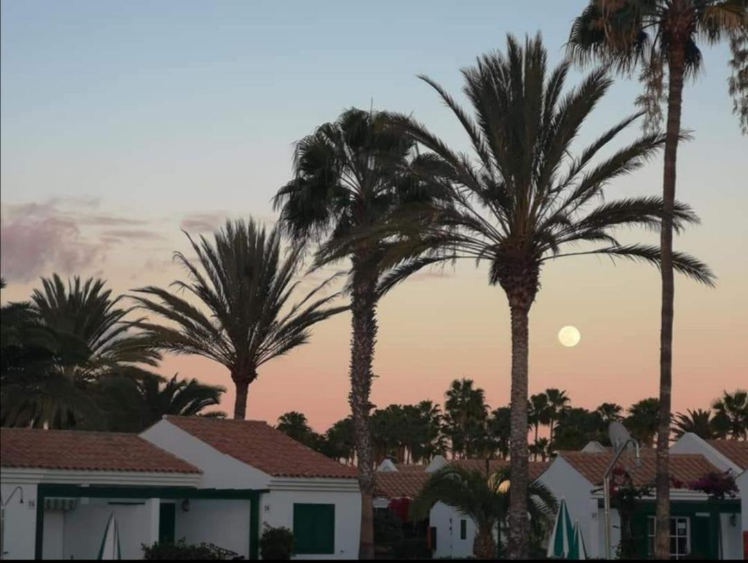 Maspalomas Casa La Loba Экстерьер фото