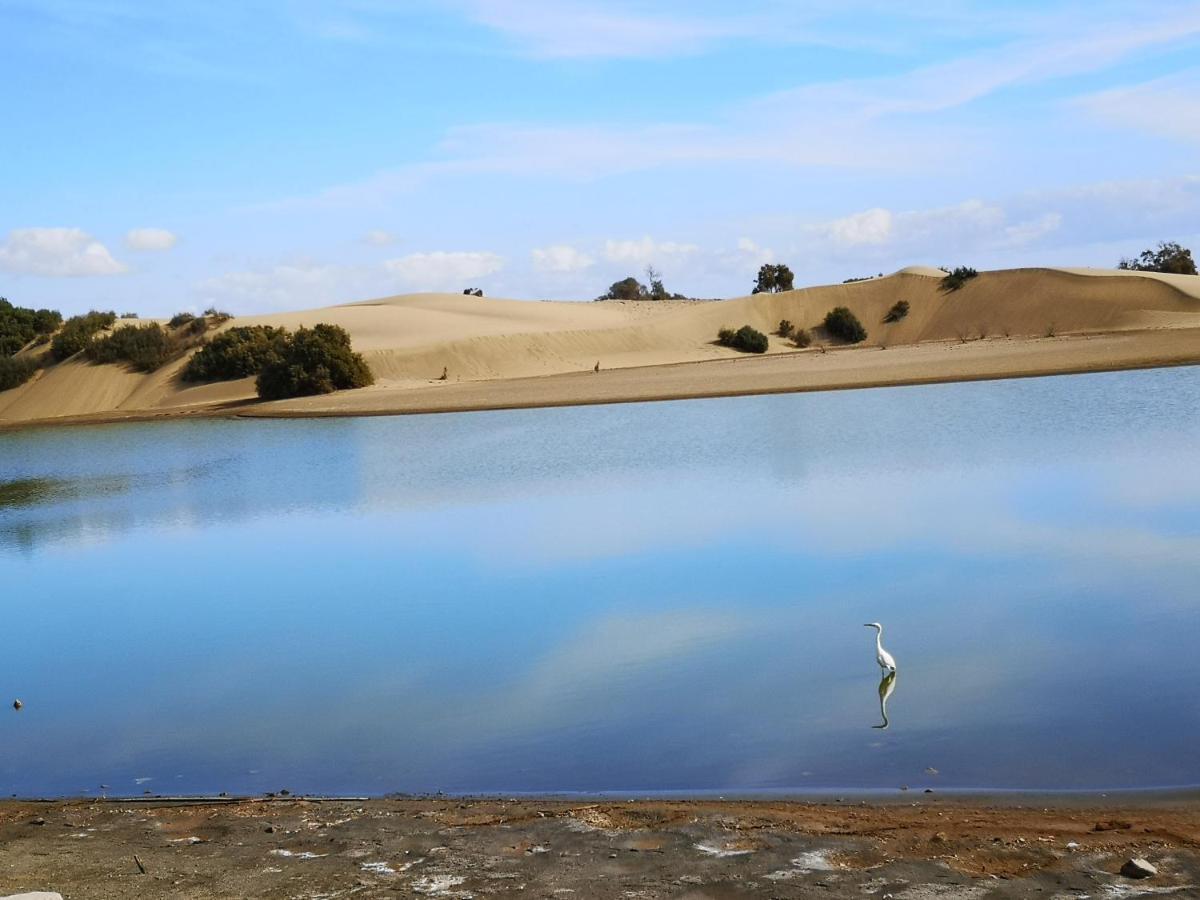 Maspalomas Casa La Loba Экстерьер фото